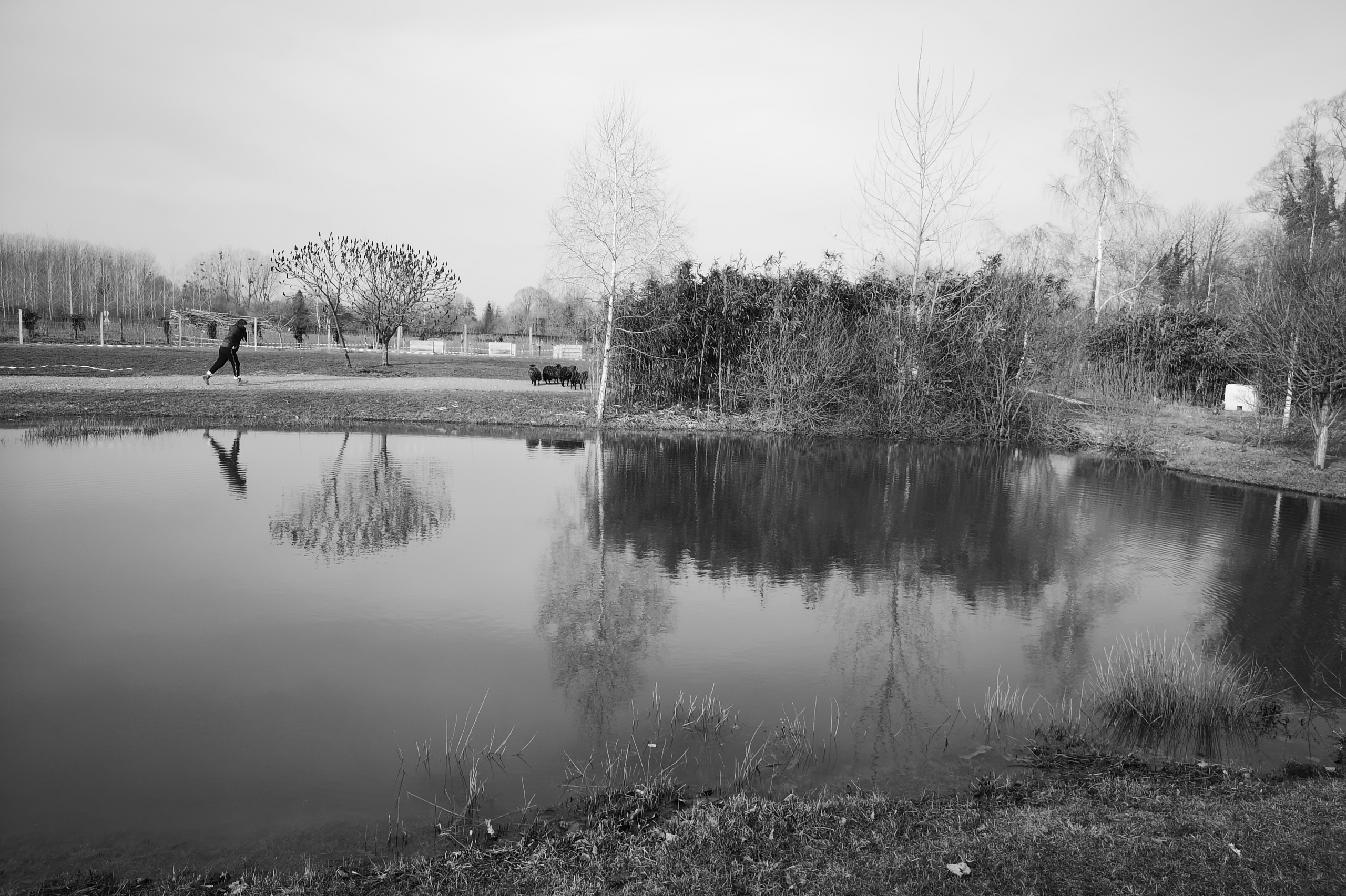 Les bienfaits de la nature