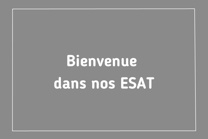 Les travailleurs de l’ESAT ANAIS de Paris vous font découvrir leur établissement.